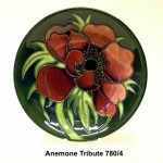 Anemone-Tribute