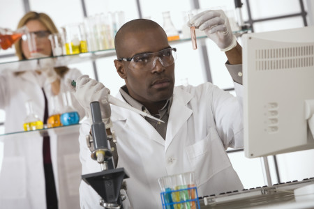 African Americans in Sciences and Professional Fields